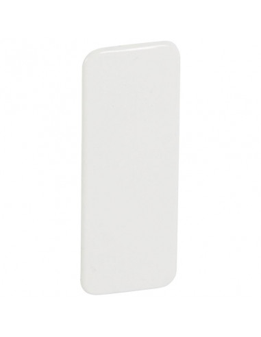 Plaque obturation pour Jupiter encastré droit 2 postes blanc LEGRAND 081074