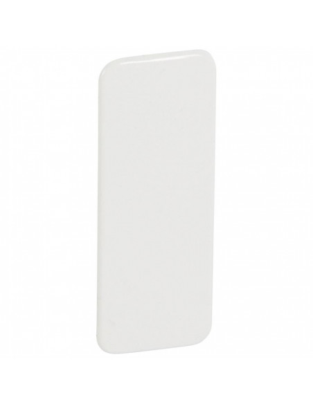 Plaque obturation pour Jupiter encastré droit 2 postes blanc LEGRAND 081074