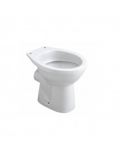 Douchette Toilette Wc Mobile Kit Douchette Wc Laiton Pulvérisateur de  Toilettes pour Bidet et de Toilettes Eau Froide G1/2 Valve Laiton avec  Tuyau