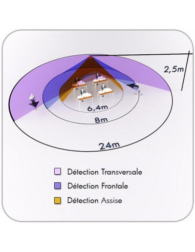 Détecteur présence Esclave 24M Apparent B.E.G LUXOMAT PD4-S-AP 92142