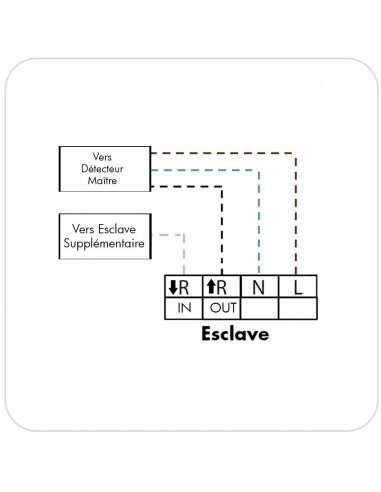 Détecteur présence Esclave 24M Apparent B.E.G LUXOMAT PD4-S-AP 92142
