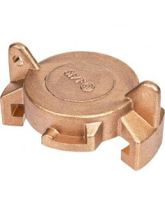 BOUCHON POUR RACCORD EXPRESS 2283001
