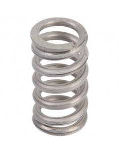 RESSORT REDUCTEUR 3000 15X21 RBM 2259005