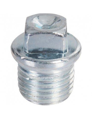 BOUCHON GALVA N°290 M50X60 29005008