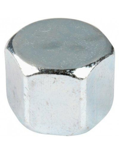 BOUCHON GALVA N°300 F12X17 30015002