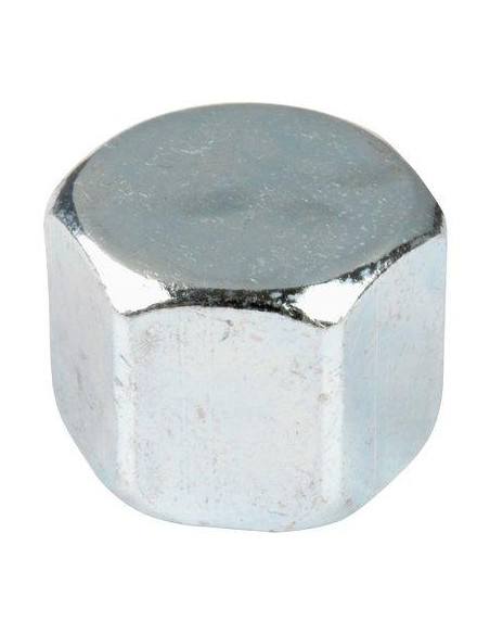 BOUCHON GALVA N°300 F12X17 30015002