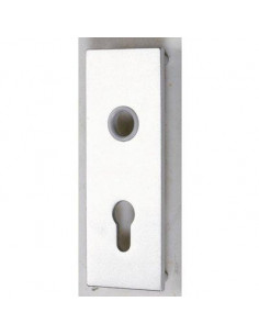 CONTRE PLAQUE SERR.GARAGE WSS 016570000114