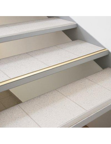 BDE SEUIL LAIT.30MM ADH. 0M83 PROFILPAS 4020/AD20214