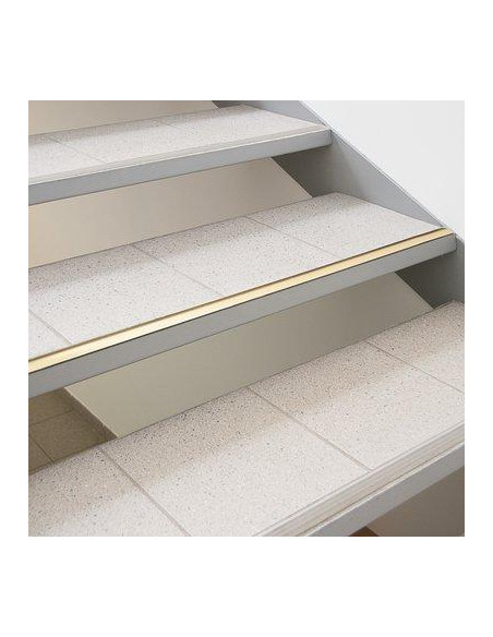 BDE SEUIL LAIT.30MM ADH. 0M83 PROFILPAS 4020/AD20214