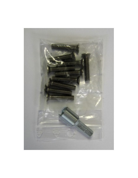 10 vis m5/25 + 1 embout URMET 500272