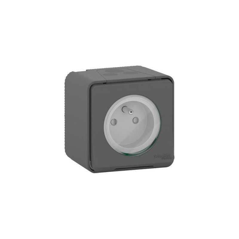 Mureva Styl Prise de courant 2P+T à vis saillie IP55 IK08 gris SCHNEIDER MUR36030