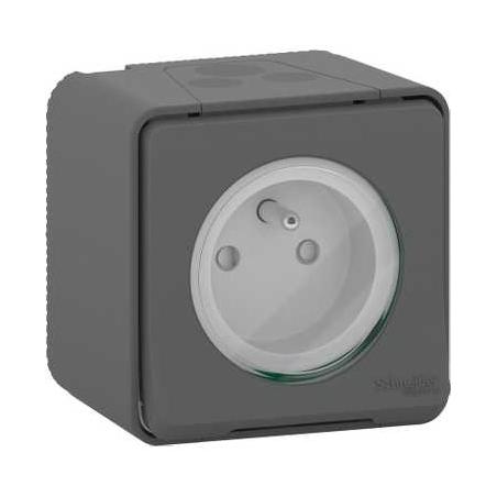 Mureva Styl Prise de courant 2P+T à vis saillie IP55 IK08 gris SCHNEIDER MUR36030