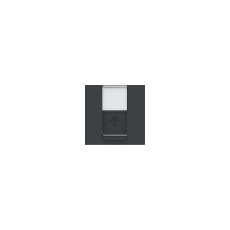 Unica prise RJ45 simple cat 6A FTP 2 mod Anthracite méca seul SCHNEIDER NU344954