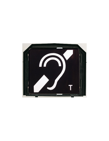 Module boucle magnétique pour gt...