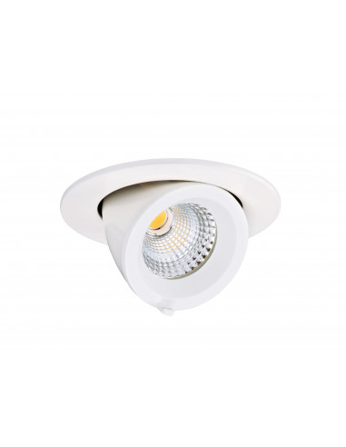 RANDY S Downlight rond, orientable, blanc, 36°, LED intég 7,5W 3000K 635lm ARIC 50453