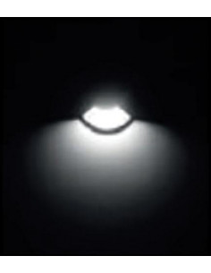 MIRA 65-230 B1 Enc.Sol Ext. IP67 IK08, Ø80, couleur inox, LED 5W 3000K, 30000H ARIC 50611