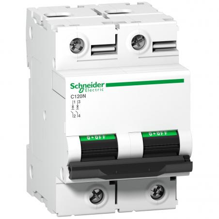 Disjoncteur C120N 2 Pôles 80 A courbe C 10 kA SCHNEIDER A9N18361