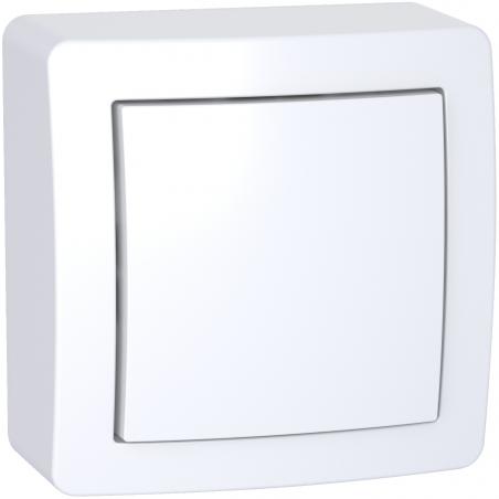 Alréa Poussoir à fermeture avec cadre saillie blanc polaire SCHNEIDER ALB62053P