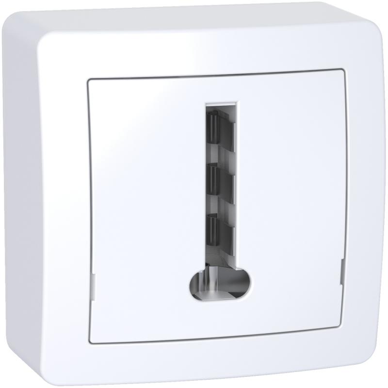 Alréa Conjoncteur téléphonique 8 plots avec cadre saillie blanc polaire SCHNEIDER ALB62366P