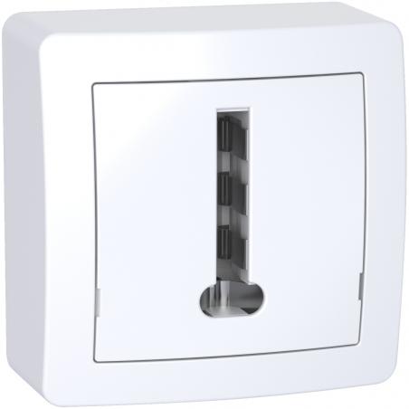 Alréa Conjoncteur téléphonique 8 plots avec cadre saillie blanc polaire SCHNEIDER ALB62366P