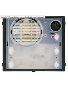 Module Micro et Haut Parleur 2 BP A AU/V BTICINO 332120