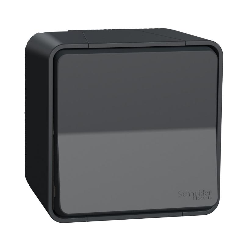 Mureva Styl Va et vient saillie IP55 IK08 connexion auto gris SCHNEIDER MUR35021