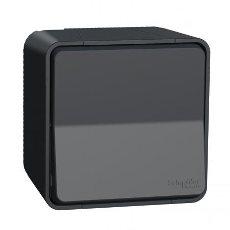Mureva Styl Va et vient saillie IP55 IK08 connexion auto gris SCHNEIDER MUR35021