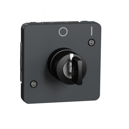 Mureva Styl Interrupteur à clé 2 positions composable IP55 IK07 gris SCHNEIDER MUR35062