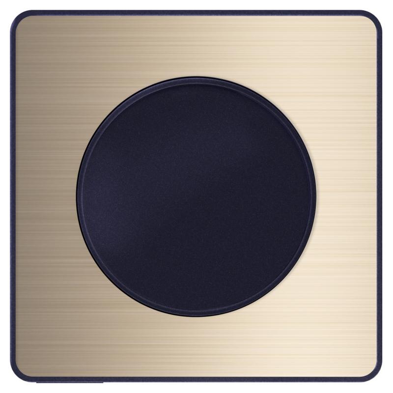 ODACE TOUCH PLAQUE BRONZE BROSSÉ AVEC LISERÉ ANTHRACITE 1 POSTE SCHNEIDER S540802L