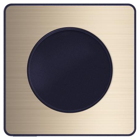 ODACE TOUCH PLAQUE BRONZE BROSSÉ AVEC LISERÉ ANTHRACITE 1 POSTE SCHNEIDER S540802L
