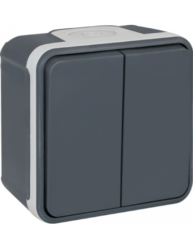 OXXO double Va/Vient GRIS SAILLIE IP55 EUR'OHM 60802