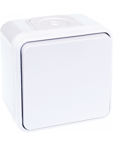 OXXO Va/Vient BLANC SAILLIE IP55 EUR'OHM 60810