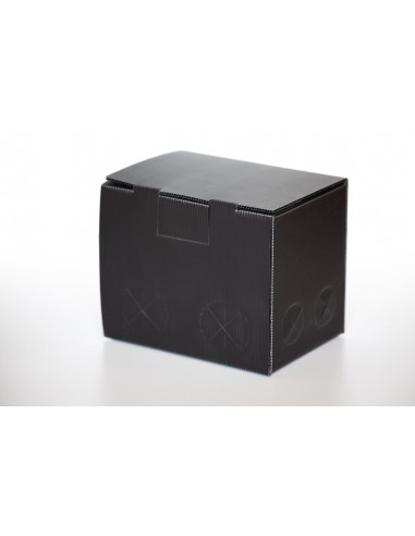 SANIBOITE 20x15xH17 X25 COURANT 89000001