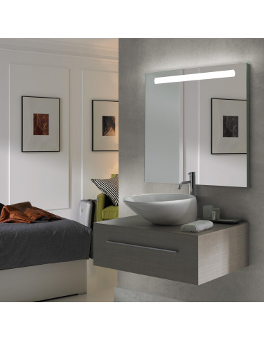 Miroir de salle de bain Pegasus avec èclairage frontal LED EMUCA 5148120