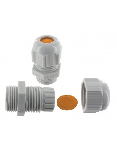 Presse-étoupe polyamide BASIC Pg 21 (13-18mm) BLM 108212