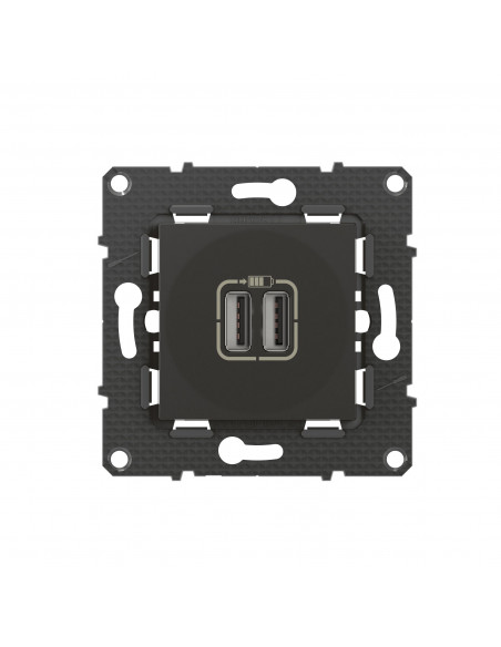 Double chargeur USB Altège Type-A 2,4A finition Nuit BTICINO BTAL30SD