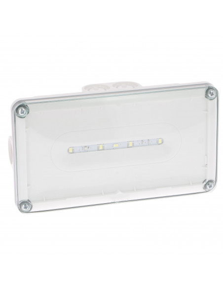 Luminaire sur source centralisée d'évacuation saillie à LEDs 45lm IP66 IK10 plastique tension 24V continu LEGRAND 062816