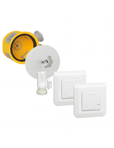 Kit avec 1 DCL radio complet + 2 commandes Mosaic sans fil blanc LEGRAND 088563