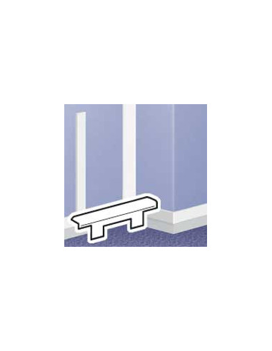 Embout pour moulure DLPlus 60x20mm...