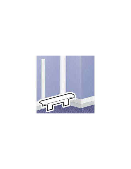 Embout pour moulure DLPlus 60x20mm blanc LEGRAND 030290