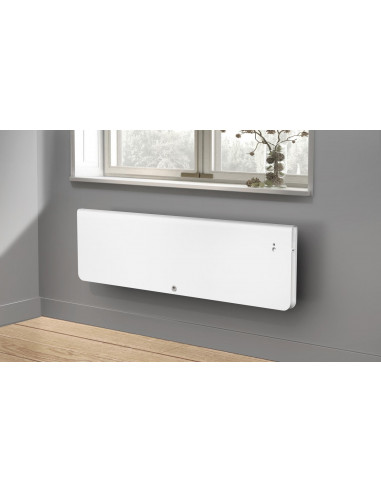 Radiateur Chaleur douce Equateur 4 plinthe gris ardoise 1500W THERMOR 427254
