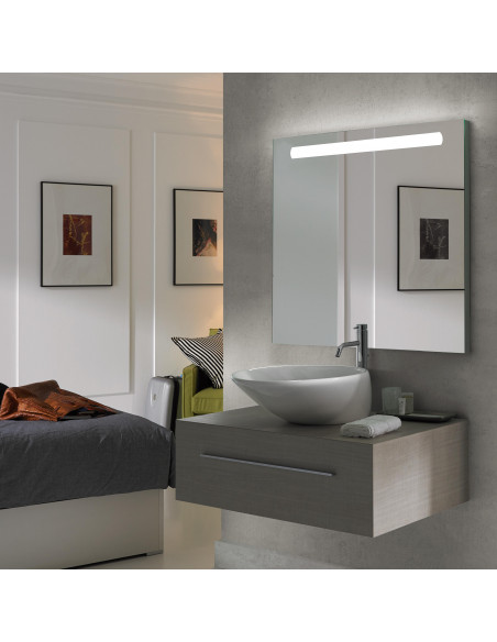 Miroir de salle de bain Pegasus avec éclairage frontal LED (AC 230V 50Hz) EMUCA 5148120