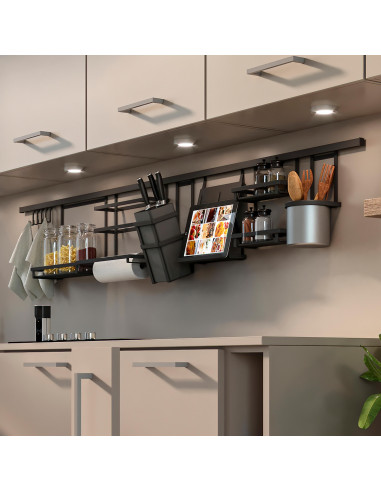 Ã‰tagère pour pots à épices Titane EMUCA 8964735