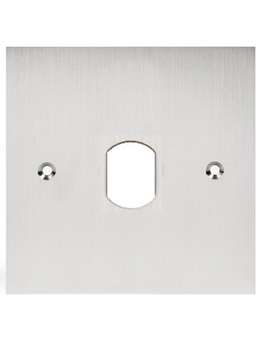 Façade inox percé au diamètre 25 mm pour lecteur vigik pour pot de 60 mm VIG60 AIPHONE 122015