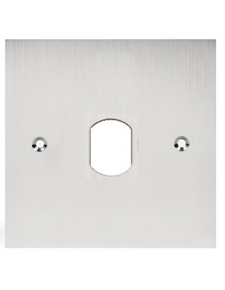 Façade inox percé au diamètre 25 mm pour lecteur vigik pour pot de 60 mm VIG60 AIPHONE 122015