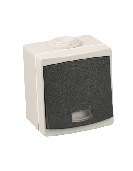 Va/Vient lumineux IP55 gris EUR'OHM 60701