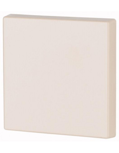 Bouton à bascule simple flèches couleur argent brillant 000173006 EATON CWIZ 01/52