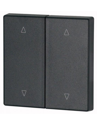Bouton à bascule double anthracite flèches 000147620 EATON CWIZ 02/24