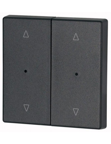 Bouton à bascule double avec LED anthracite flèches 000147632 EATON CWIZ 02/24 LED